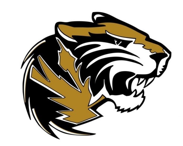Tiger Head Logo
